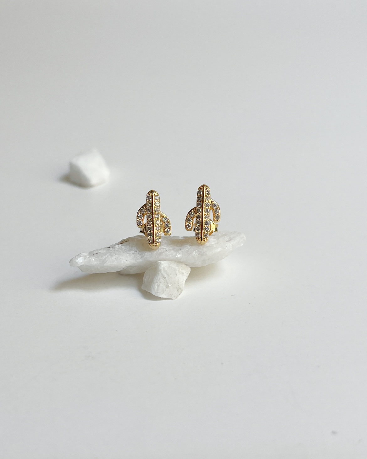 TOPO CACTUS CASTING 